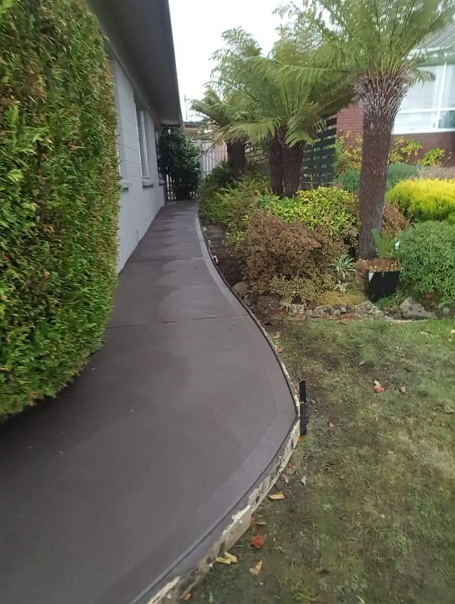 A curved concrete path winding through a garden lawn to a house entry