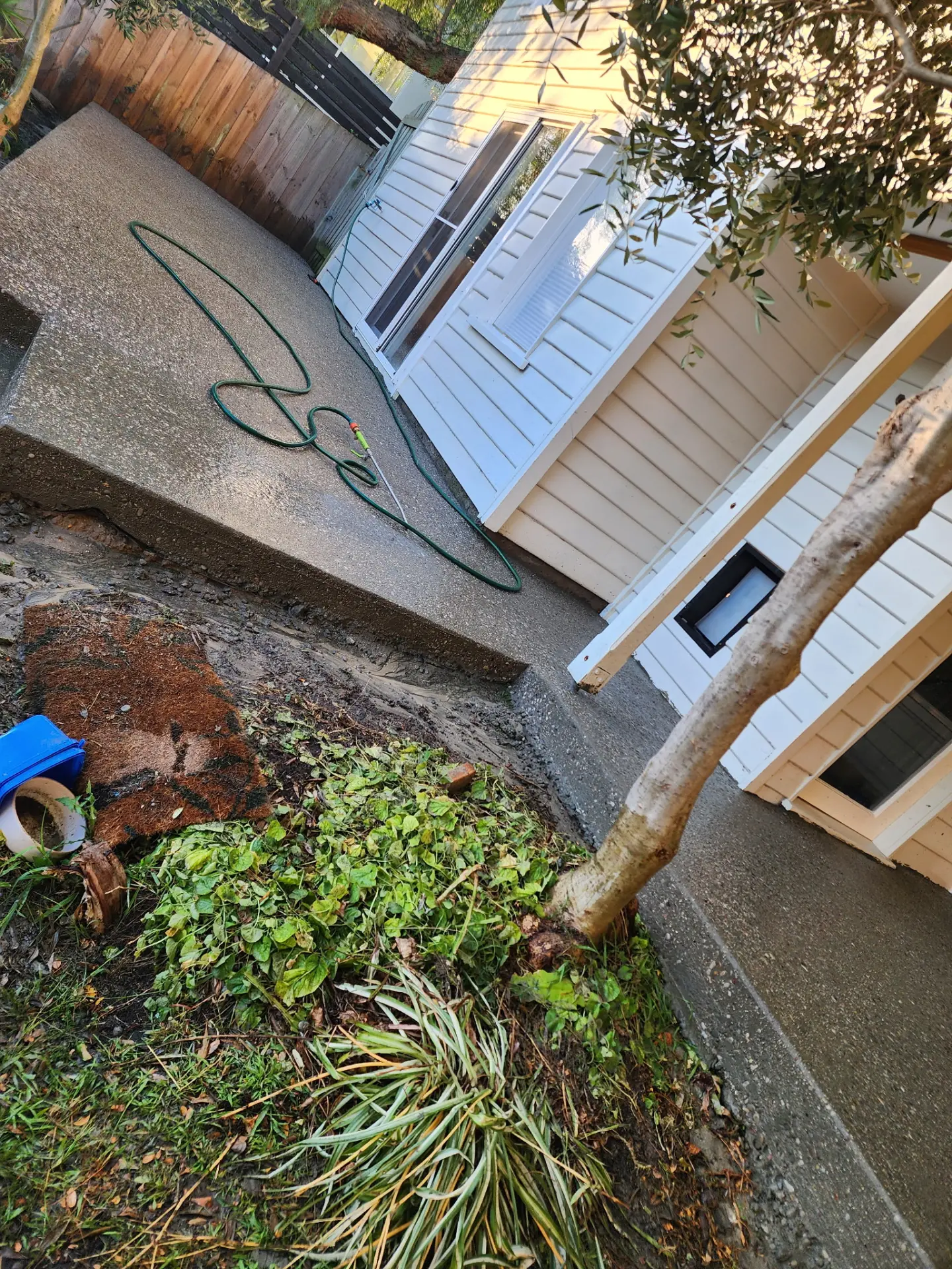 A narrow concrete path finished beside a white weatherboard house with garden planting and pipework alongside